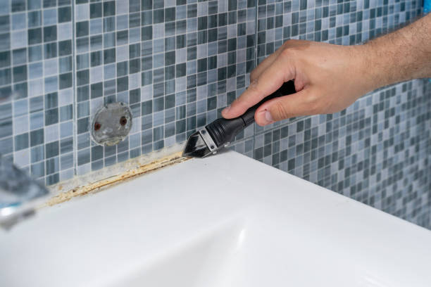 Best Mold Testing  in Le Center, MN