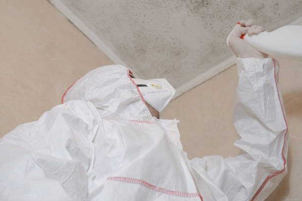 Best Mold Damage Repair  in Le Center, MN